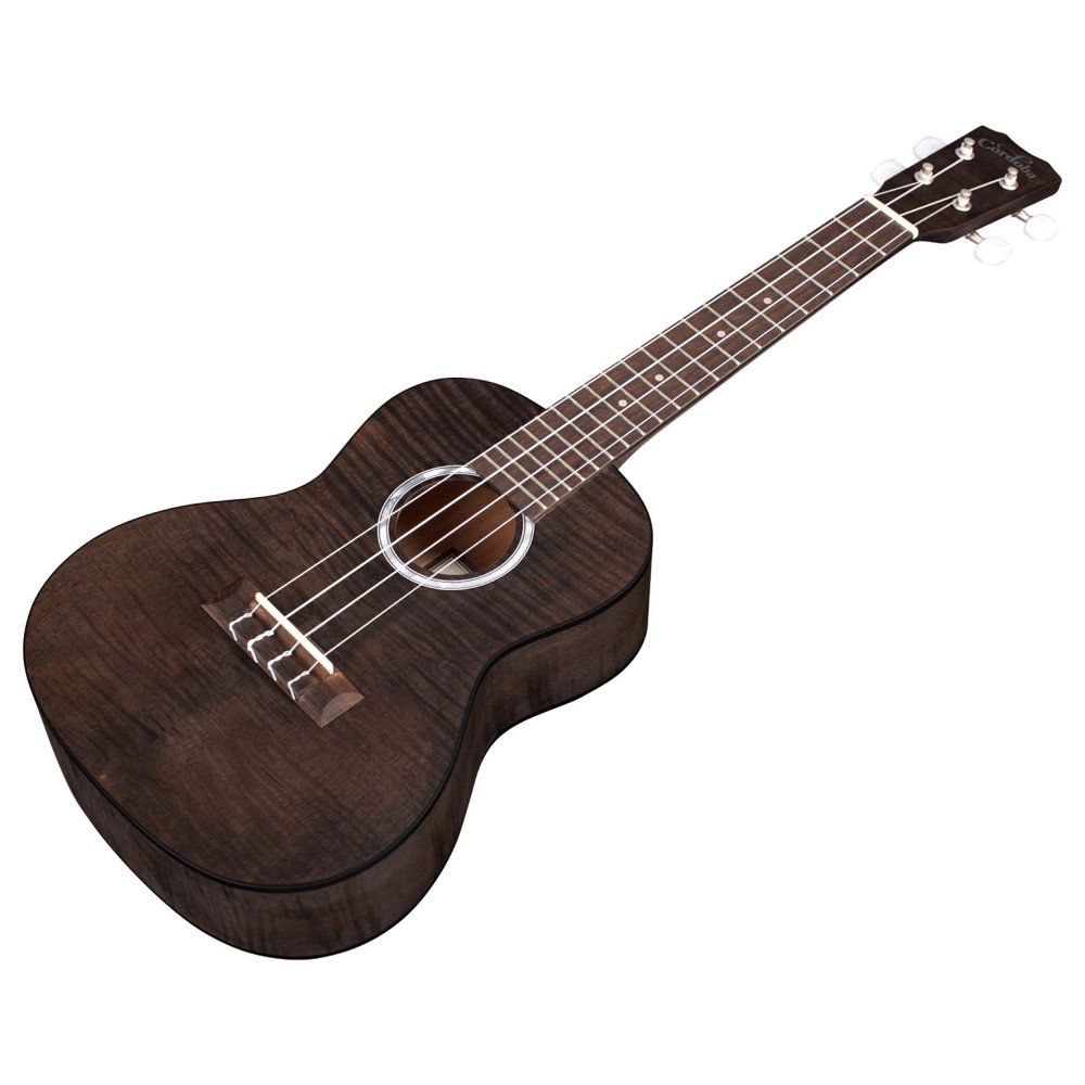 Cordoba 15CFM Granite Grey コンサートウクレレ 全体画像