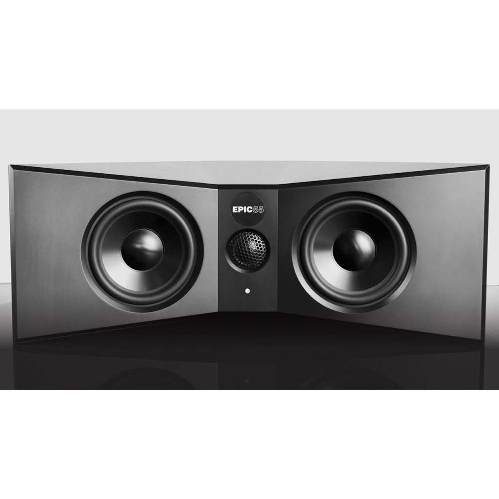 reProducer Audio Epic 55 ミッドフィールド・スタジオモニター スピーカー 1本 の画像