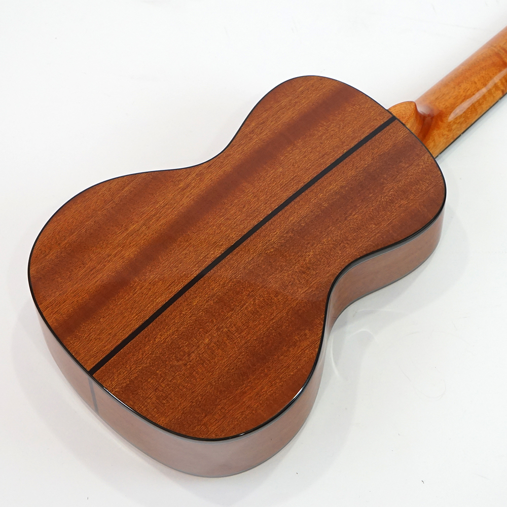 KALA KASCG-WBAG20_06 コンサートウクレレ スプルース単板トップ ソフトケース付き グロスフィニッシュ ボディバック画像