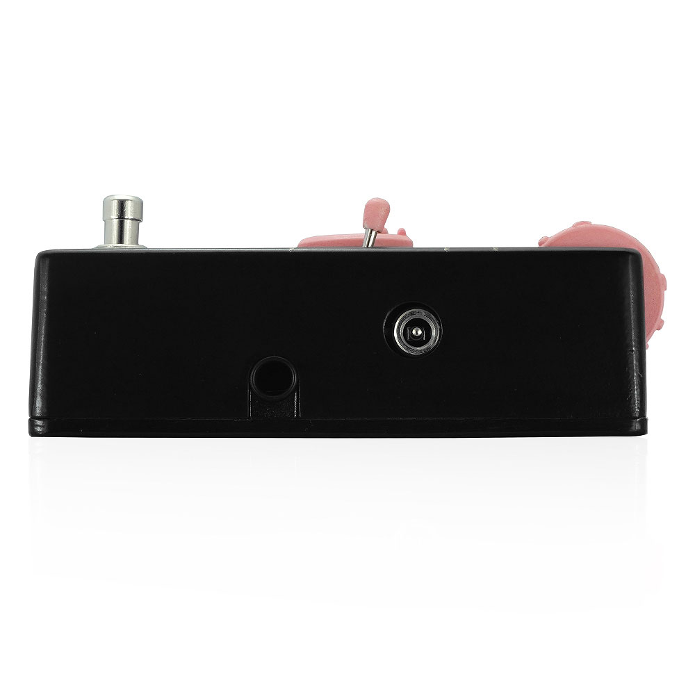 GoldTooth vrb リバーブ ギターエフェクター 側面