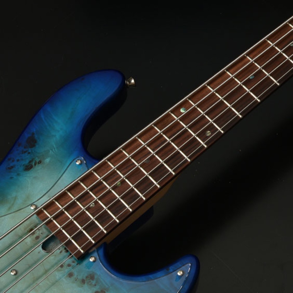 BACCHUS WJB5-BP Act BL-B 5弦 エレキベース バッカス ネック
