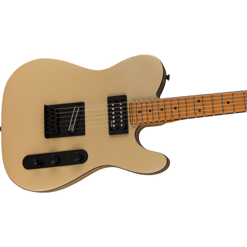 Squier Contemporary Telecaster RH RMN SHG エレキギター ボディアップ画像