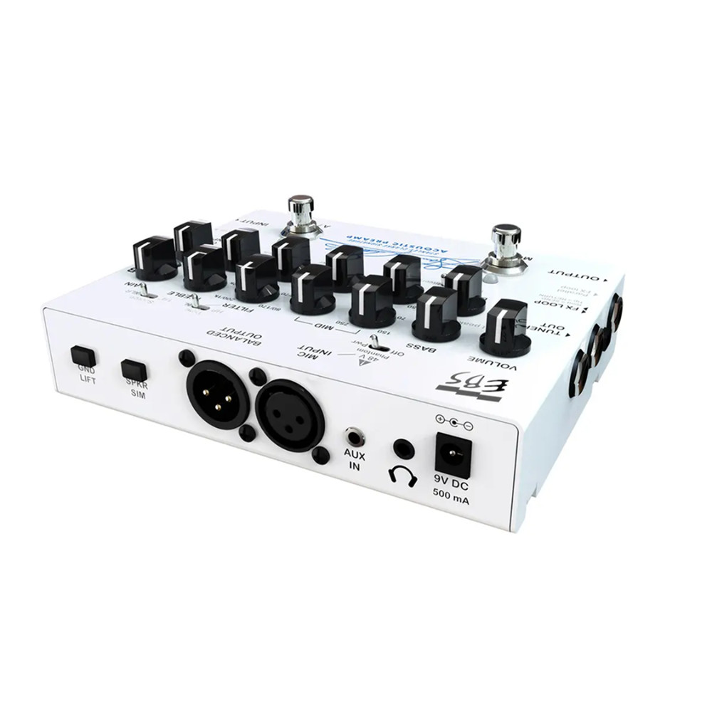 EBS Stanley Clarke Signature Acoustic Preamp スタンリー・クラーク シグネチャー アコースティック ベースプリアンプ 入出力端子側