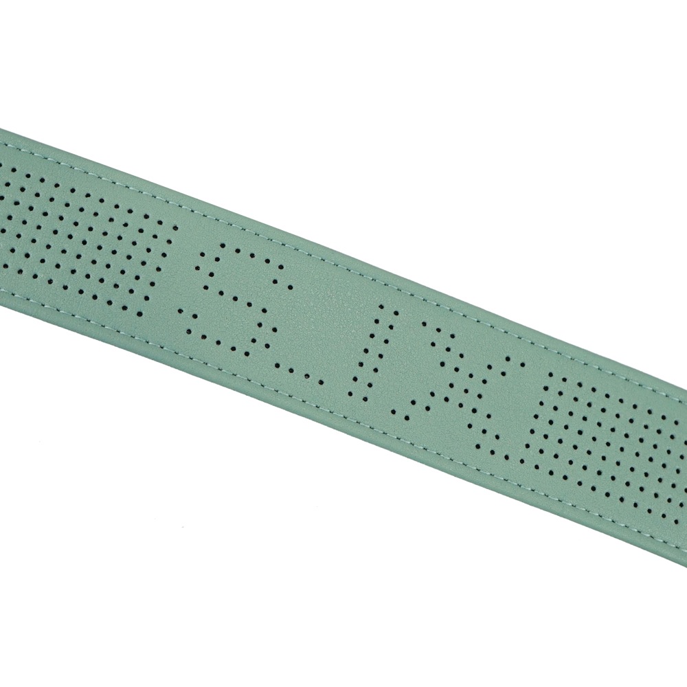 S_IX Fairy Pail Green ギターストラップ メッシュ部分の画像