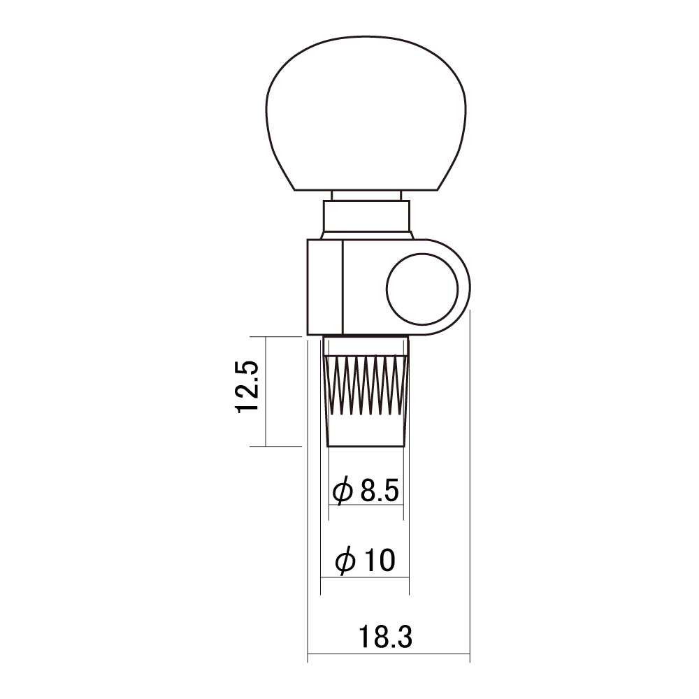 SCUD P-142 バンジョーペグ 5弦用 サイズ説明画像
