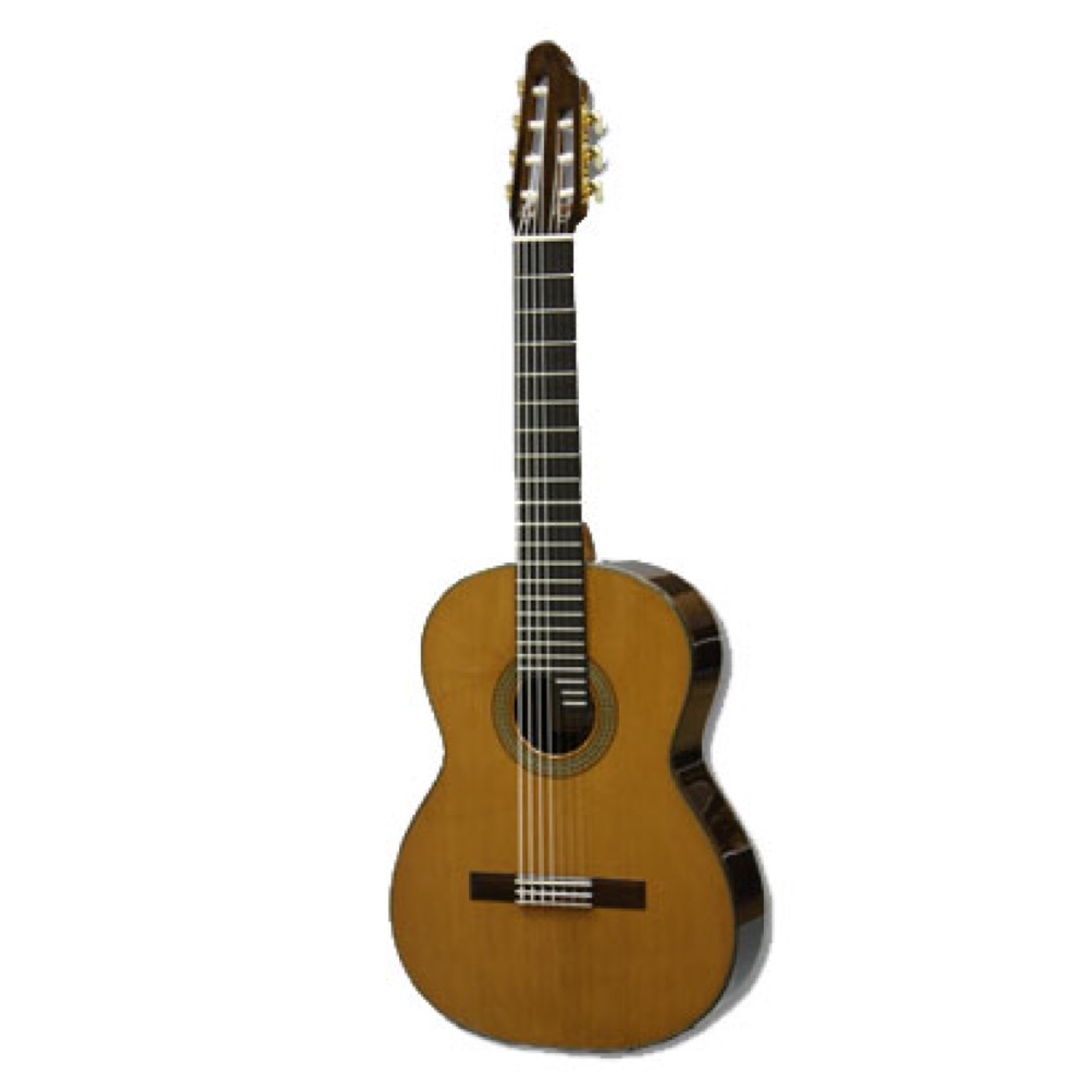 希少ASTURIAS（アストリアス） ASTURIAS 7-STRING 7弦 クラシックギター(アストリアス 7弦クラシック