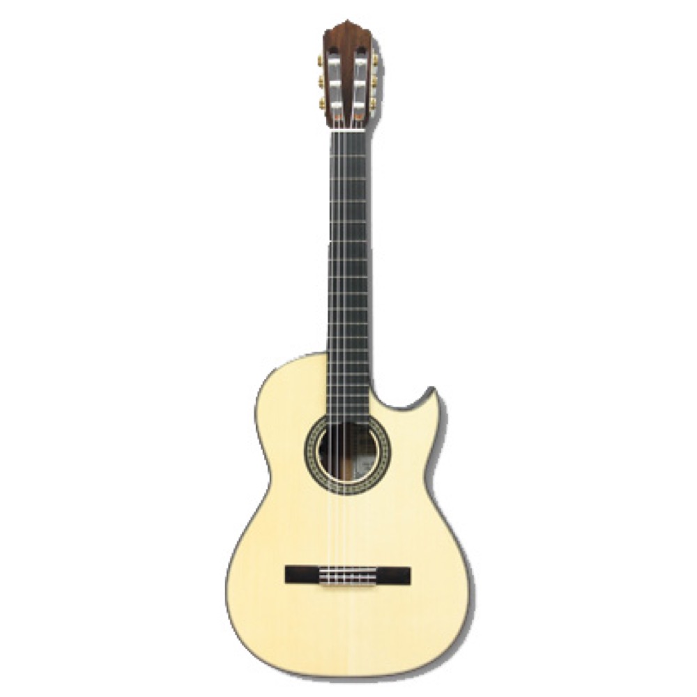 ASTURIAS SOLO CLASSICO PREMIO S エレガットギター