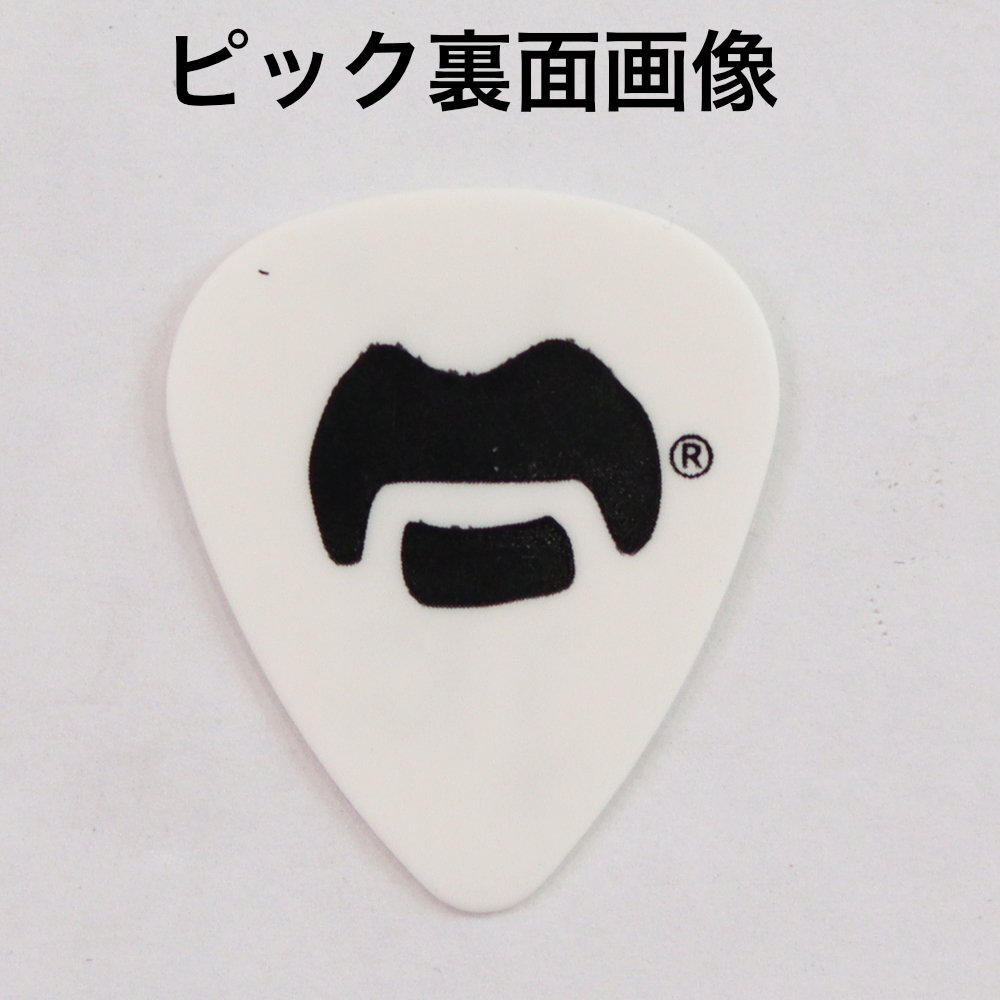 JIM DUNLOP ZAPPT02M Frank Zappa Blue Pick TIn ピックケース付き ギターピック 6枚入り ピック裏面デザイン