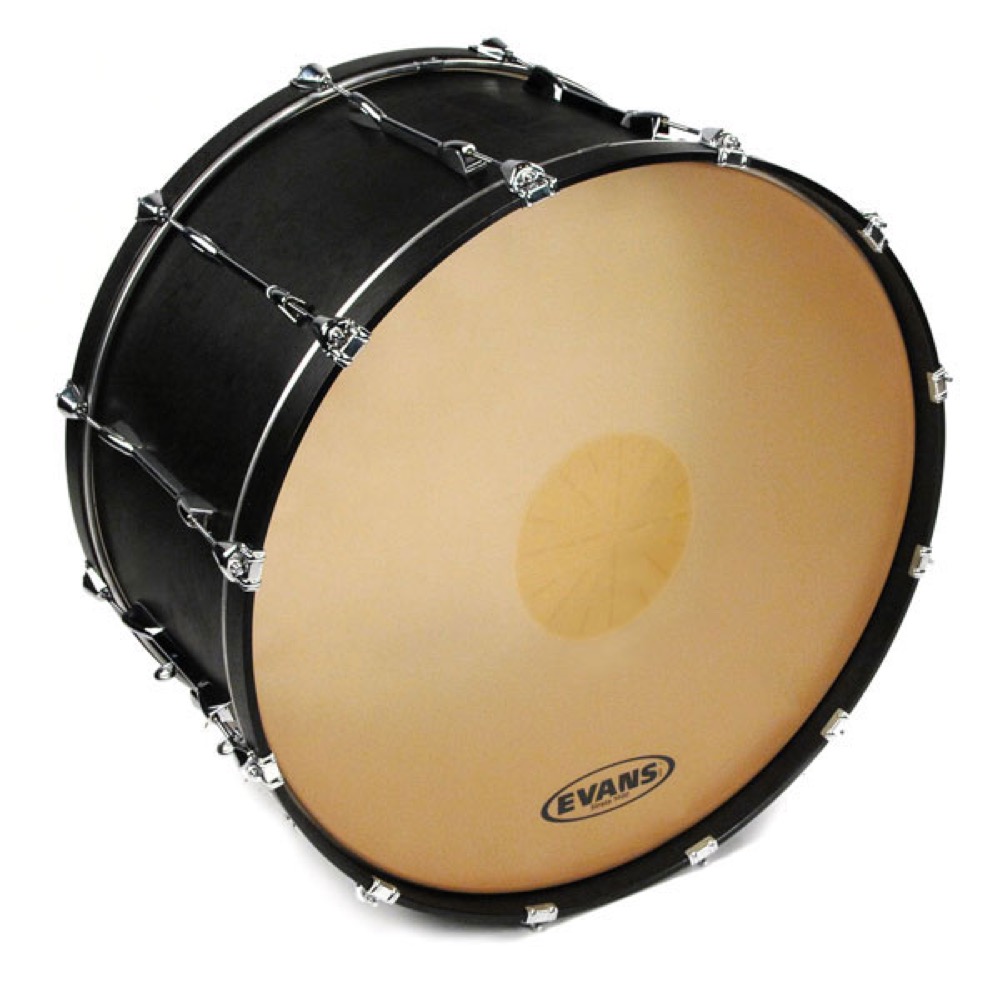 EVANS CB3614SD 36' Strata 1400 With Power Center Concert Bass Head コンサートバスヘッド 装着イメージ画像