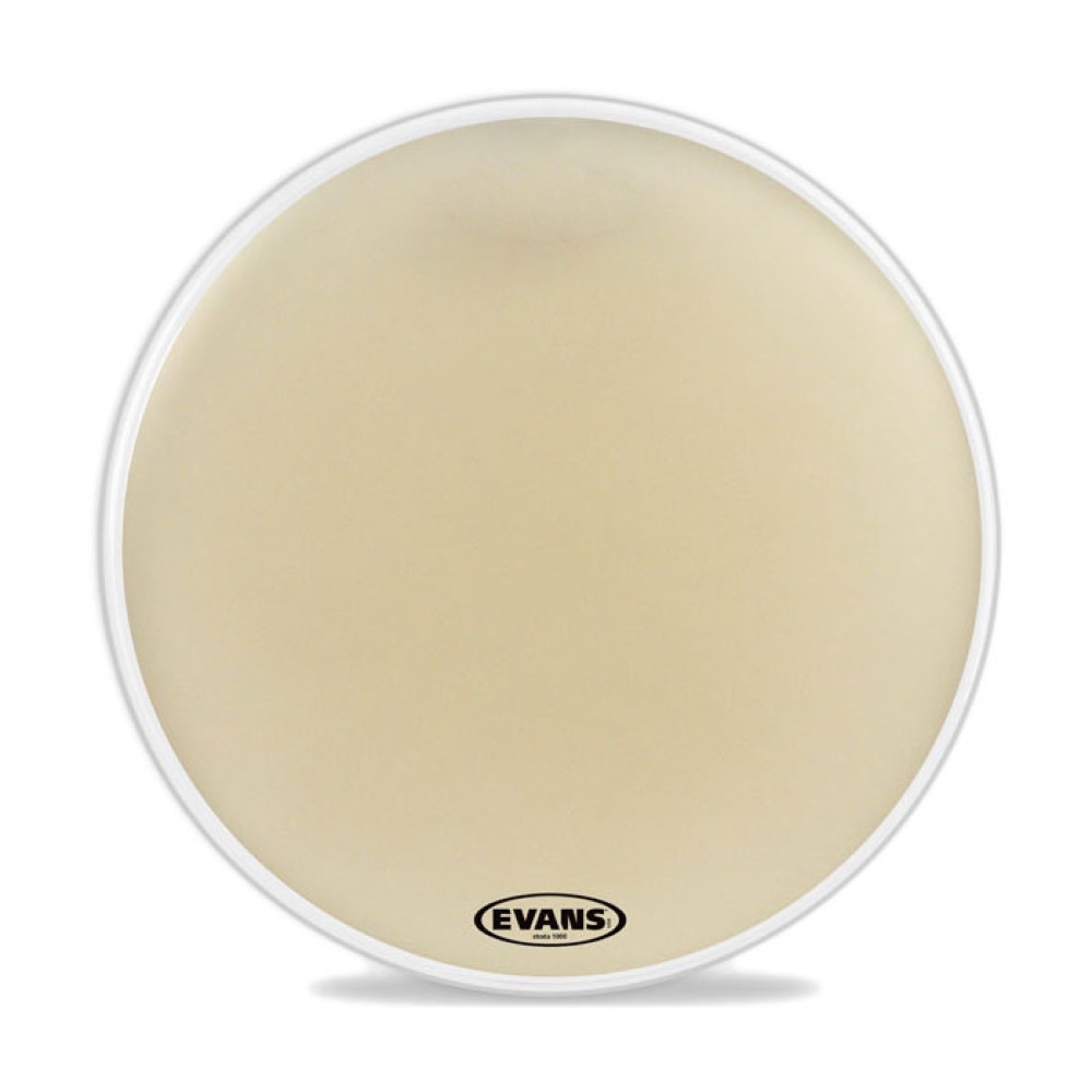 EVANS CB3210S 32" Strata 1000 Concert Bass Head コンサートバスヘッド