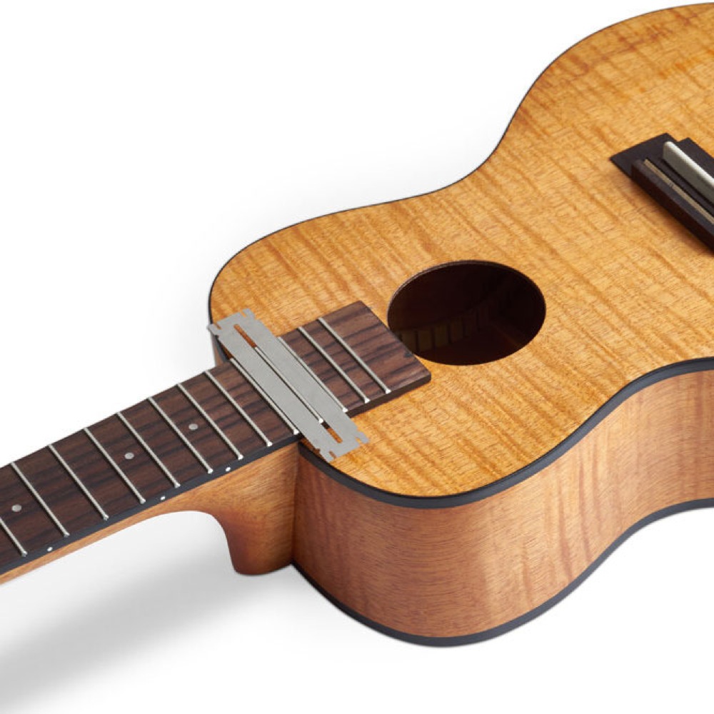 RockCare by Warwick Fingerboard Saver Set（narrow/medium/jumbo） 指板ガード ナロー