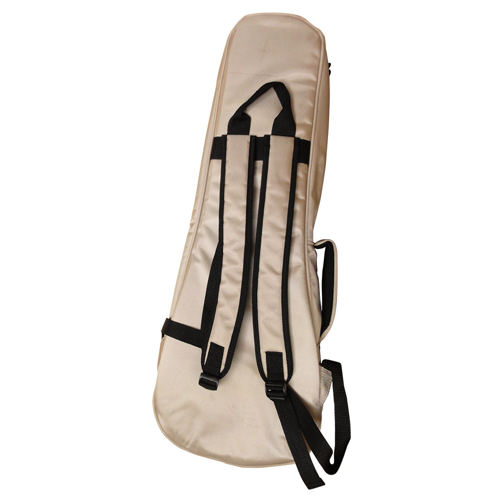 A.A.A. by HOSCO AC-300BE マンドリン用ケース 裏面画像