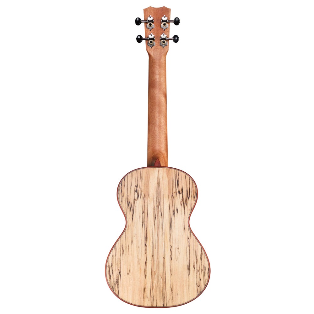 Cordoba 24T Spruce テナーウクレレ 全体画像