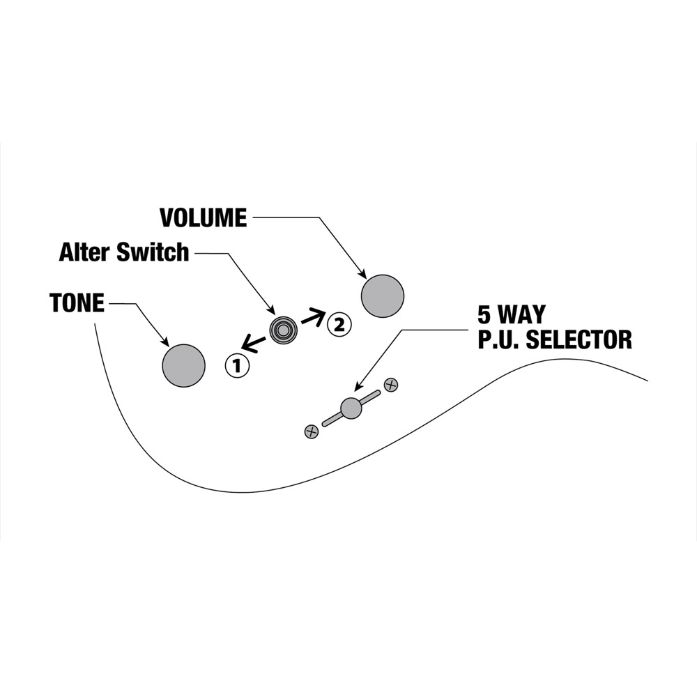 IBANEZ Q54-BKF エレキギター コントロール 作動の詳細画像
