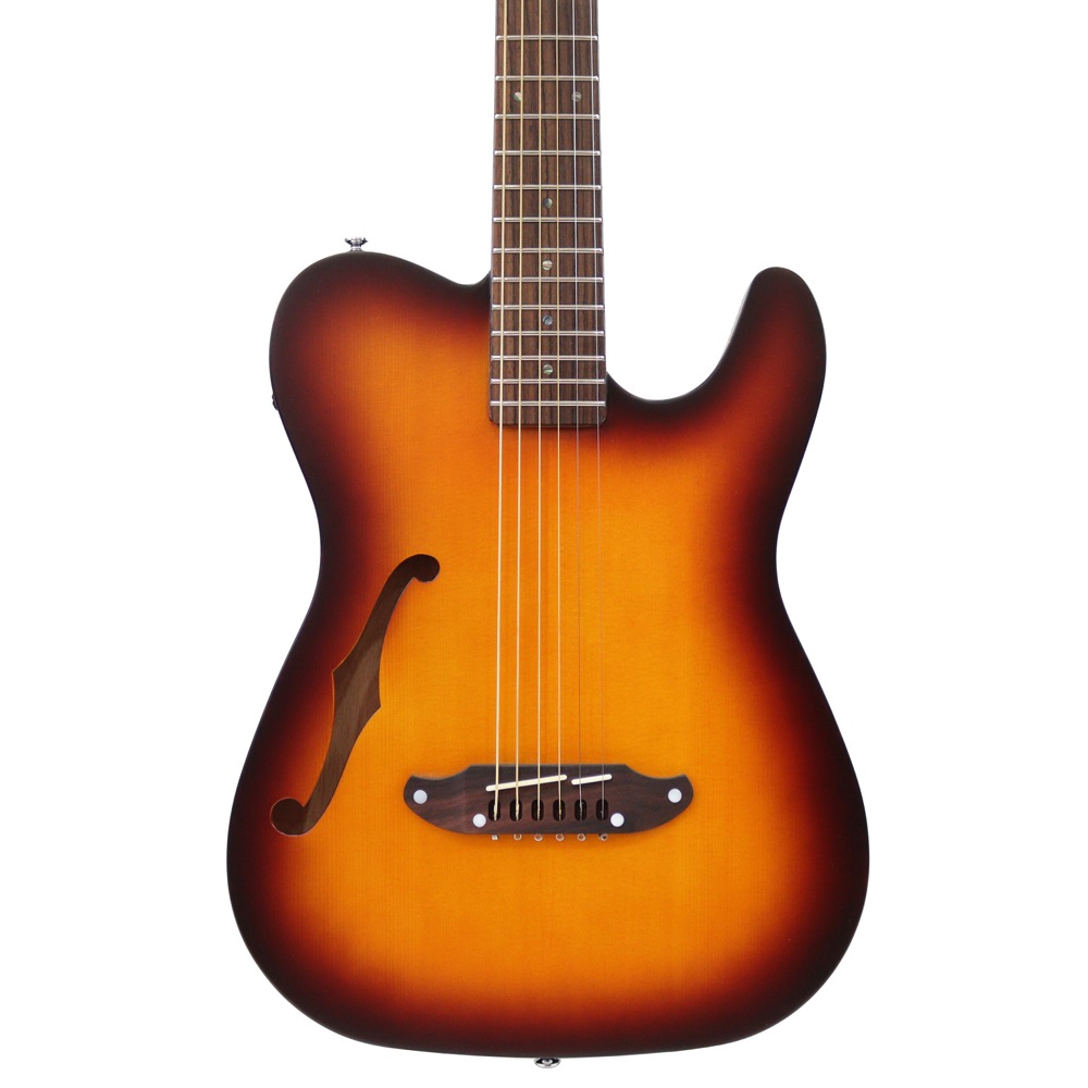 SCHECTER FA-TL FLORIDA エレアコ ホワイト 品