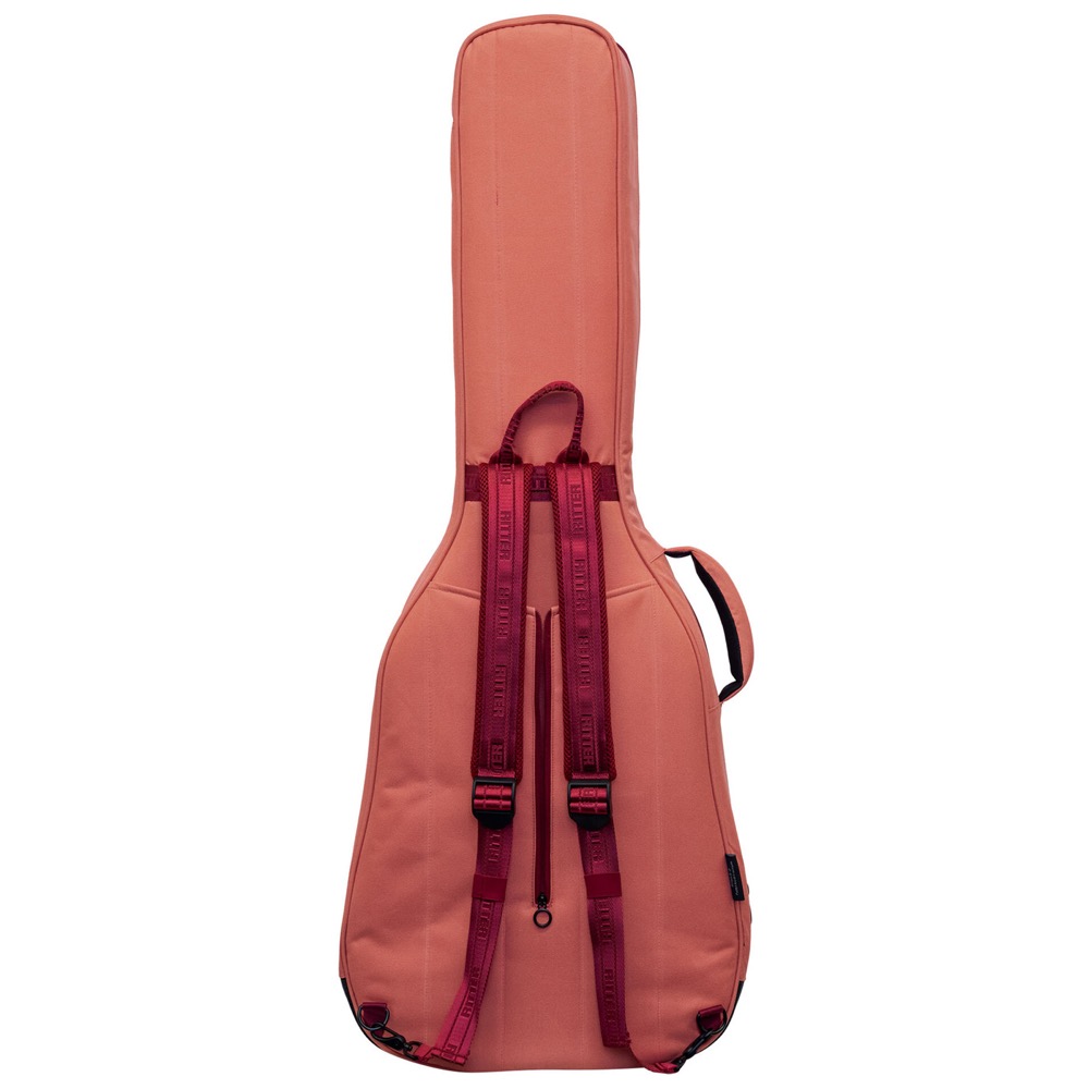 RITTER RGB4-F FRO BERN Folk Auditorium アコースティックギター用ギグバッグ 背面の画像