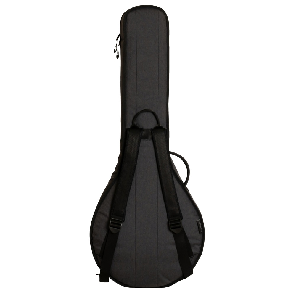 RITTER RGD2‑BJ ANT DAVOS Banjo バンジョー用ギグバッグ 背面画像
