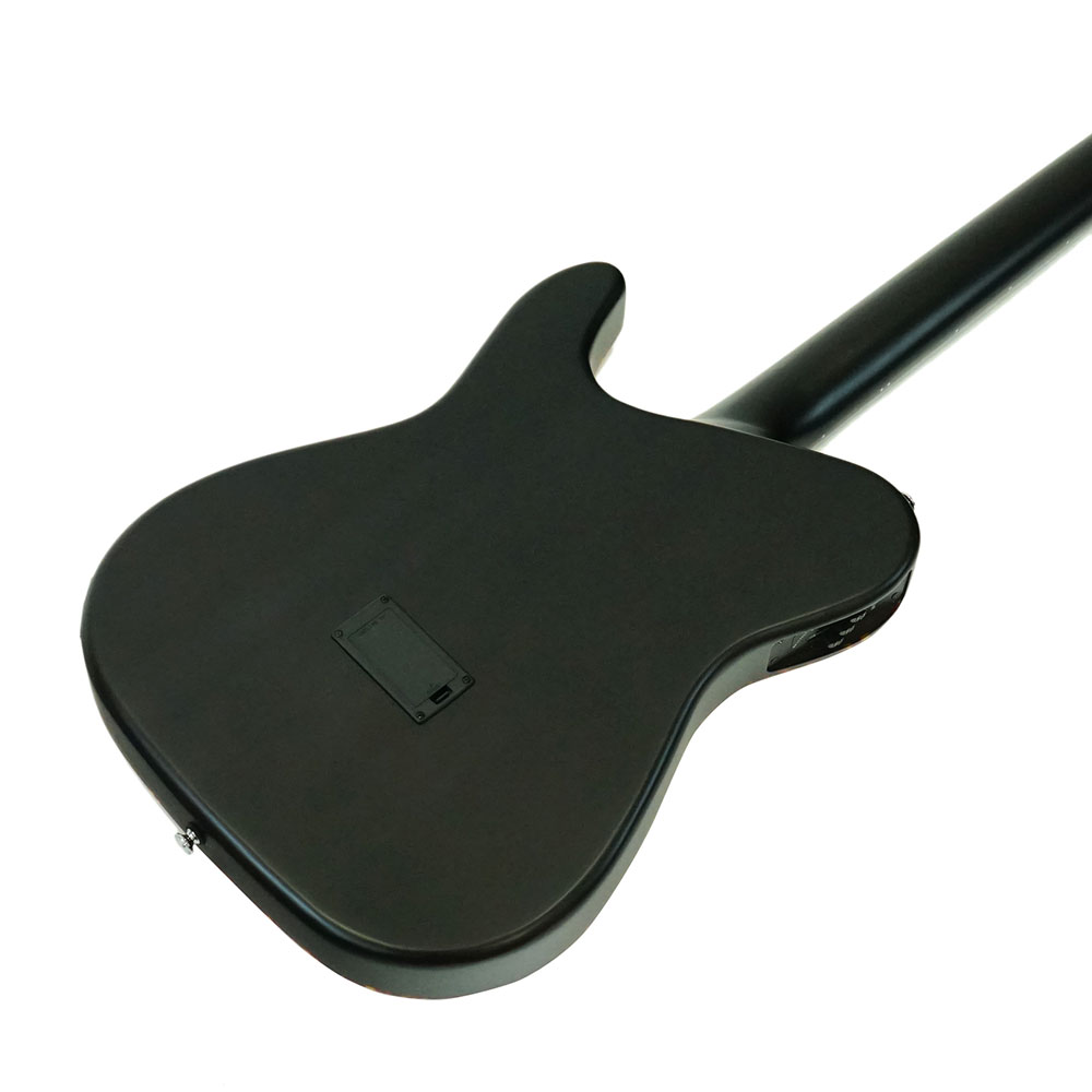 SCHECTER OL-FL-N SNTL エレクトリッククラシックギター(シェクター
