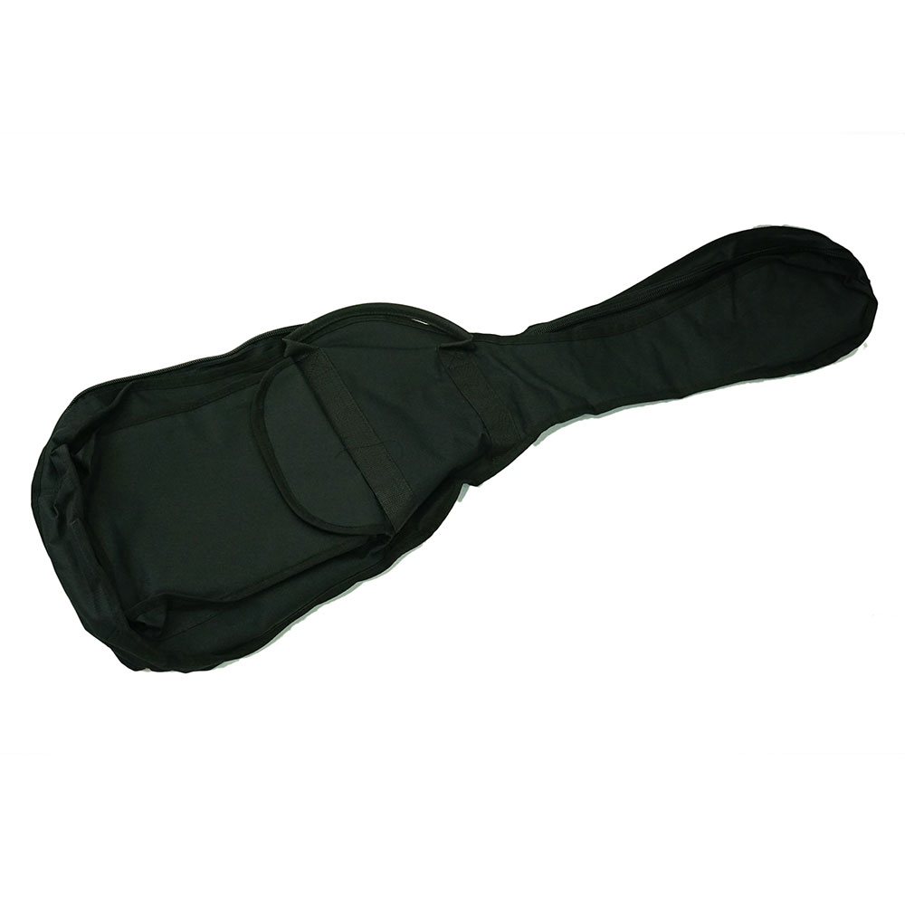 SCHECTER OL-FL-N SNTL エレクトリッククラシックギター ケース画像