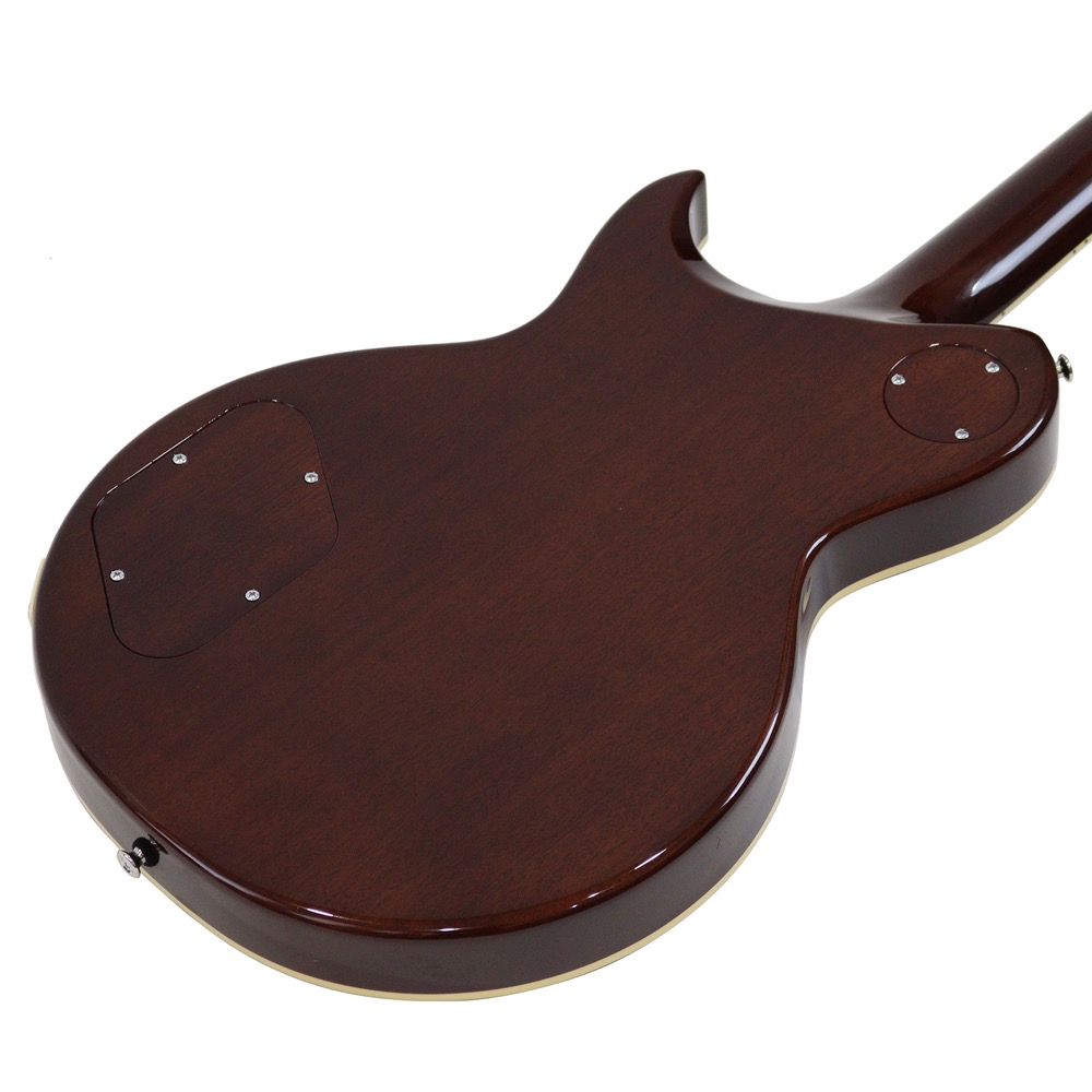 APII PE-8440CJ BB エレキギター ボディバックの画像