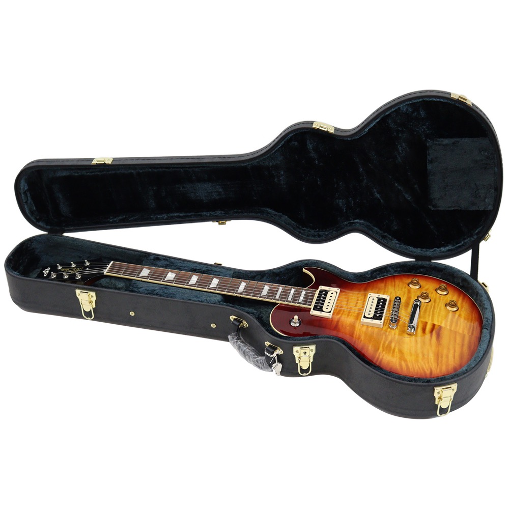 APII PE-8440CJ BB エレキギター ケース収納時の画像