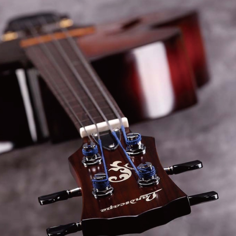 Landscape ARB-204/FL AVC エレクトリックフルアコベース ヘッド画像