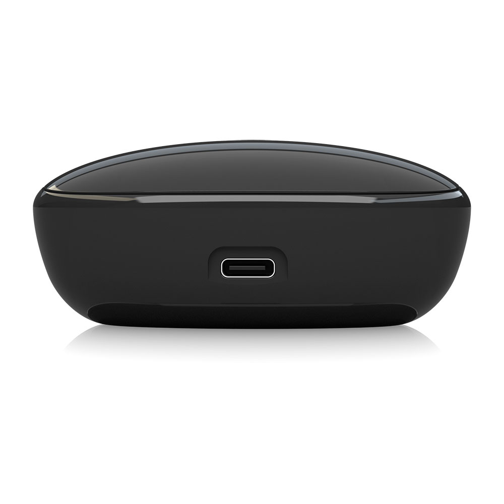 BEHRINGER T-BUDS ANC（アクティブノイズキャンセル）機能搭載 Bluetooth接続 ワイアレスイヤホン TBUDS USB端子部画像