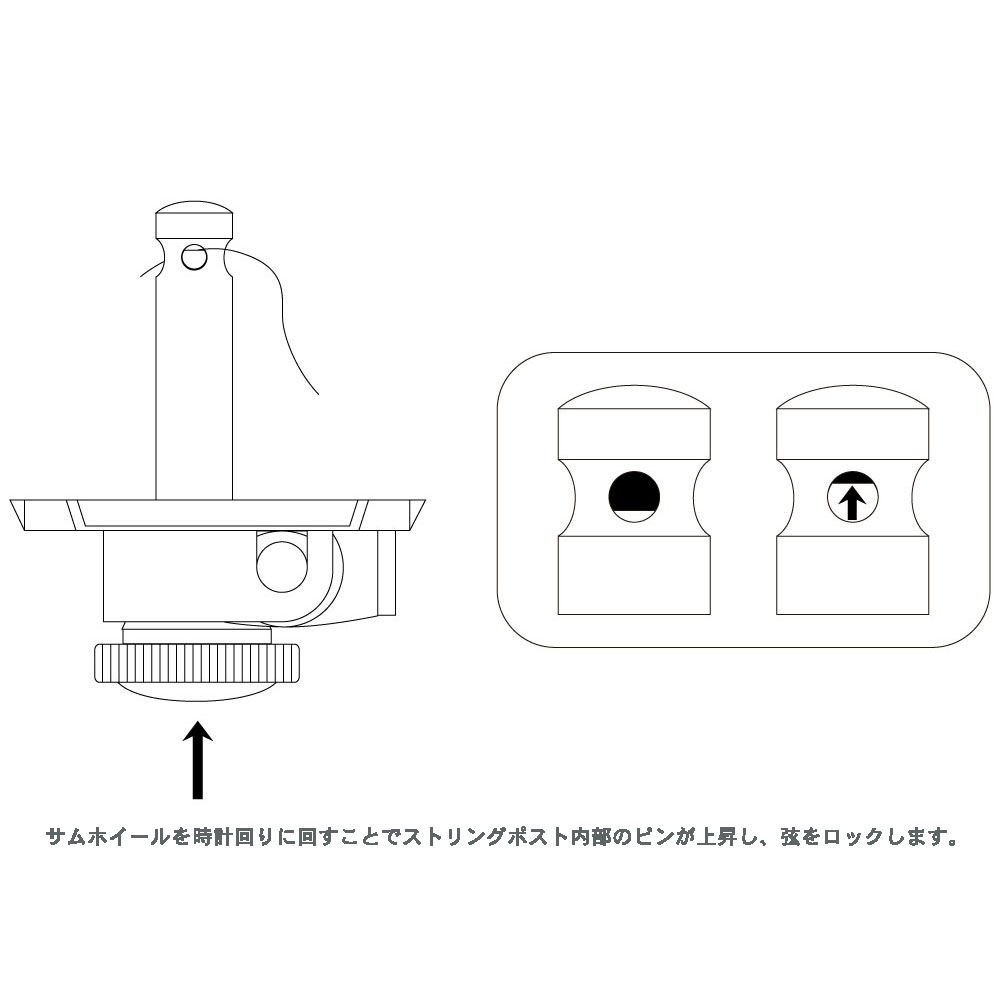 GROVER 533G6 Gold 6-in-line Vintage Locking 533 Series ギター用ペグ サムホイール部解説画像