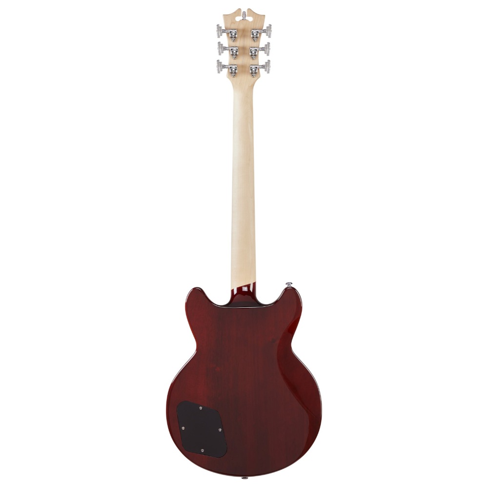 D’Angelico Premier Brighton Sky Blue エレキギター バック画像