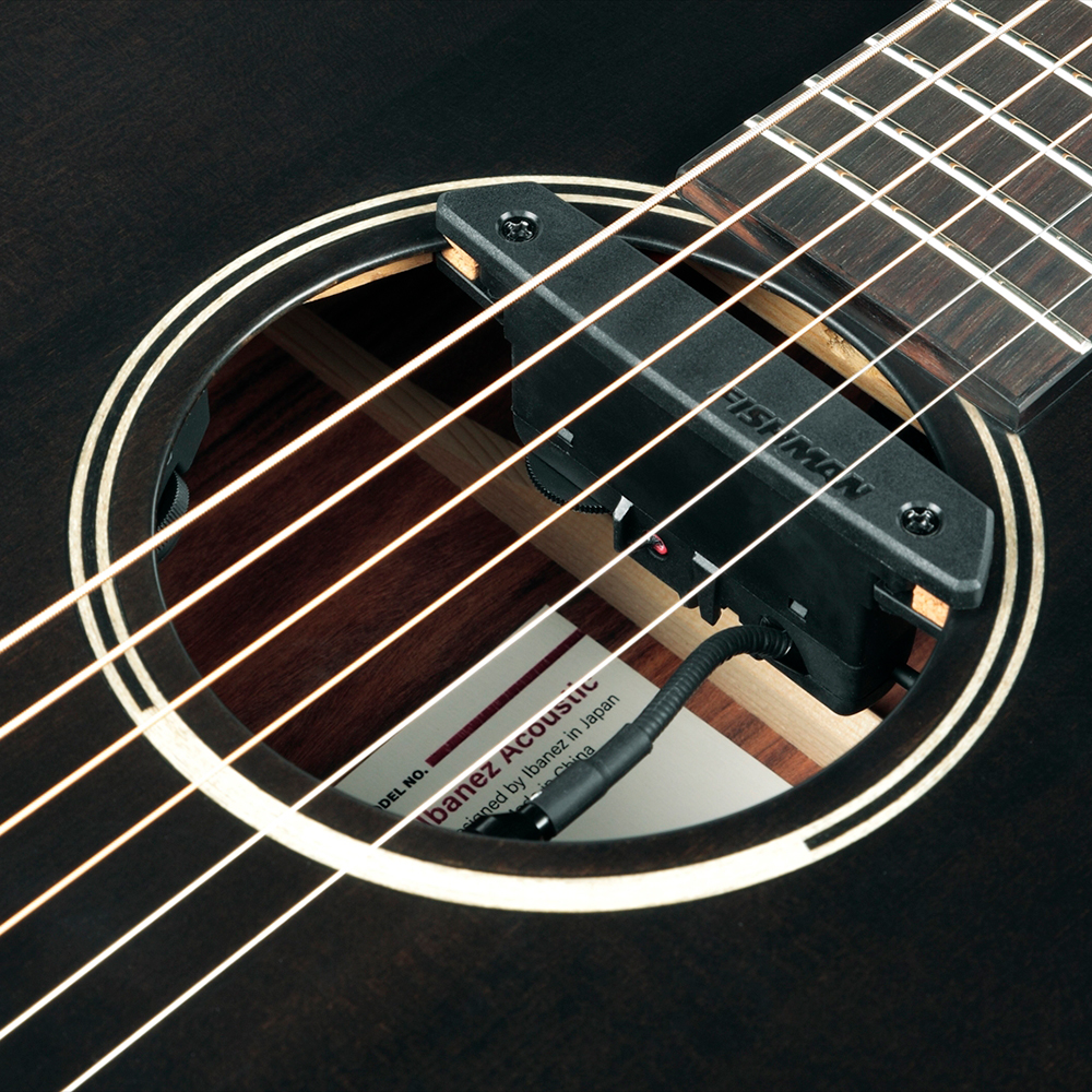 IBANEZ JGM5-BSN Jon Gomm Signature Model エレクトリックアコースティックギター サンドホール部画像