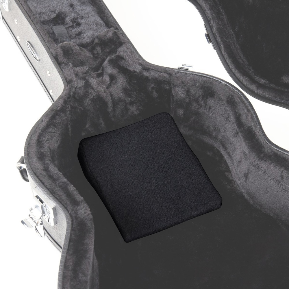 ACCESS AALPBW LP エレキギターボディ用ウェッジ 使用例画像