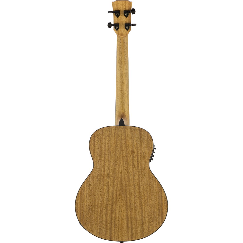 TRAVELER GUITAR Redlands Concert Bass Mahogany エレクトリックアコースティックベース バック画像
