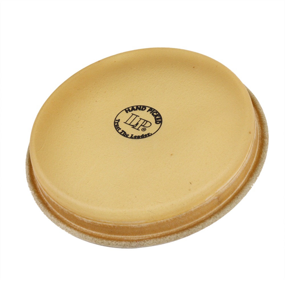 LP LP264F 1964ボンゴヘッドL ボンゴ用ヘッド 詳細画像