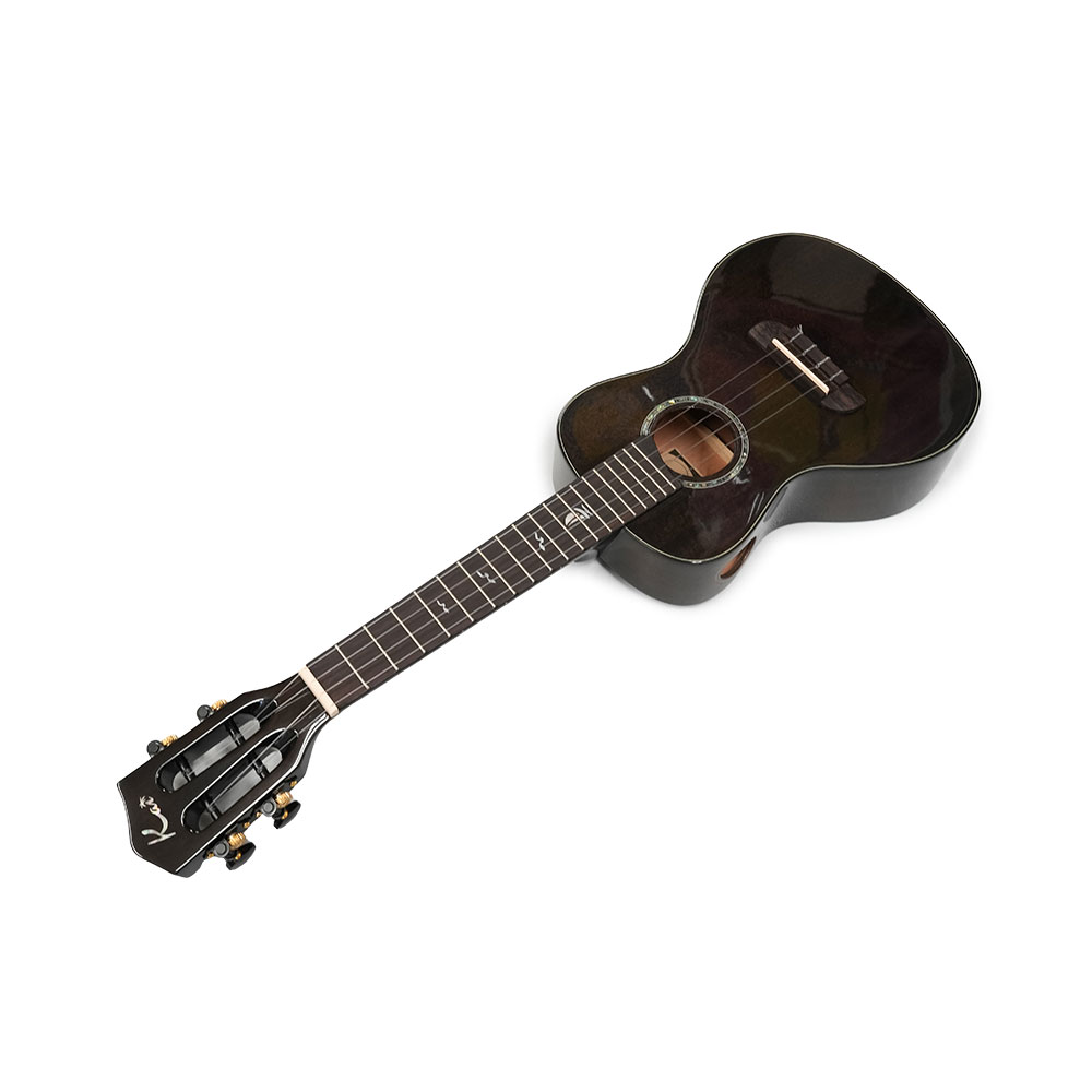 Kai Ukulele KC-100G/BK コンサートウクレレ ソフトケース付き 全体