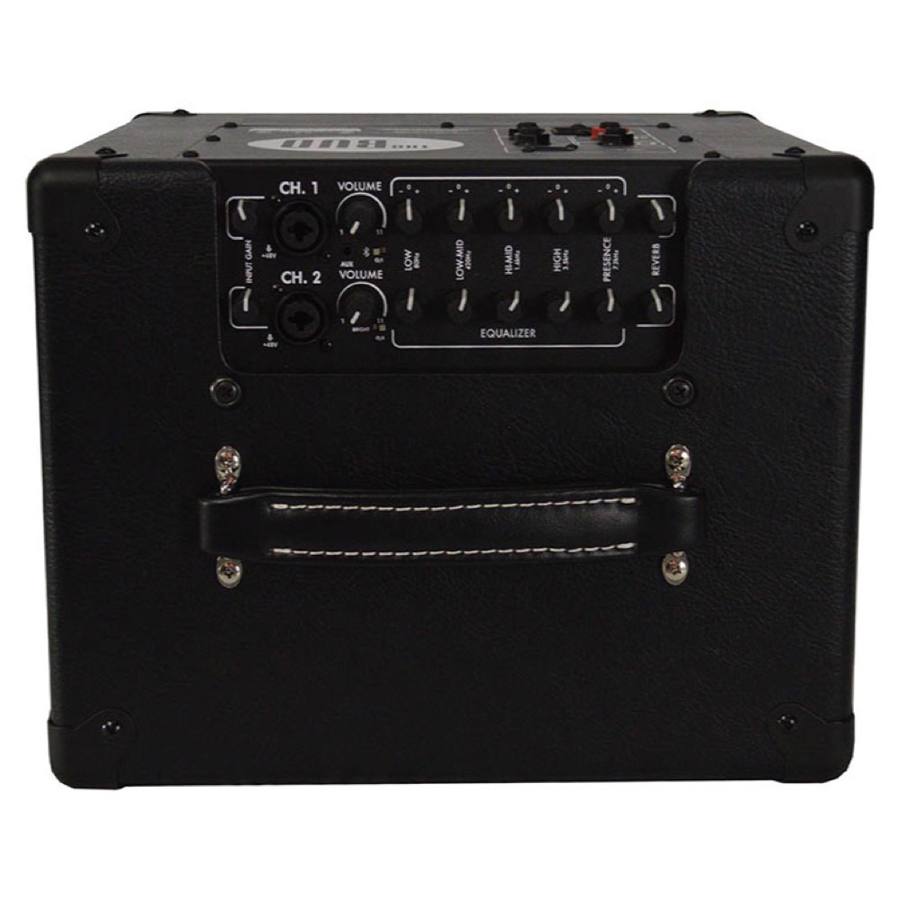 Henriksen Amplifiers The Bud TEN 10インチスピーカー搭載  ギターコンボアンプ コントロール部画像