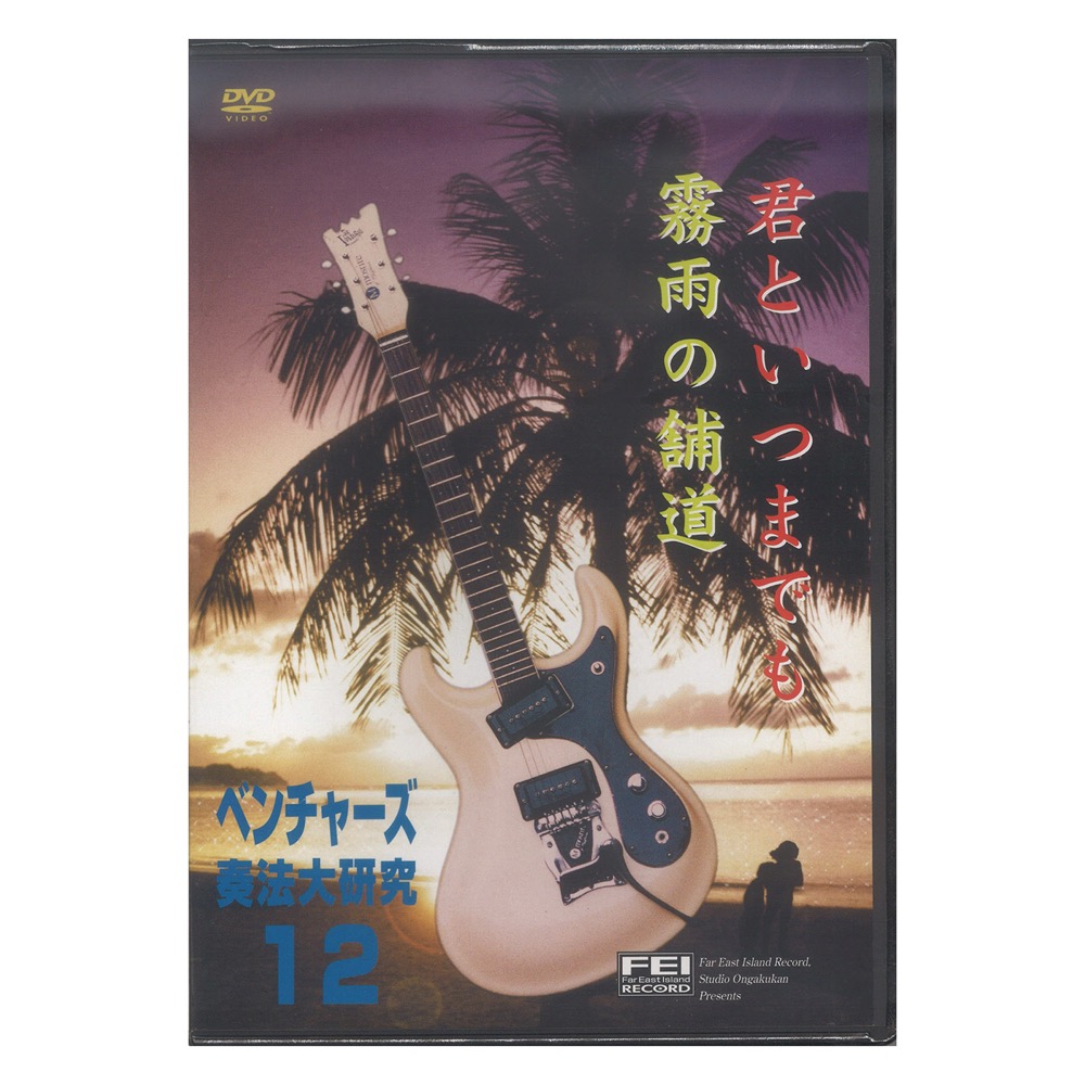 ベンチャーズ奏法大研究 Vol.12/DVD 千野FEI