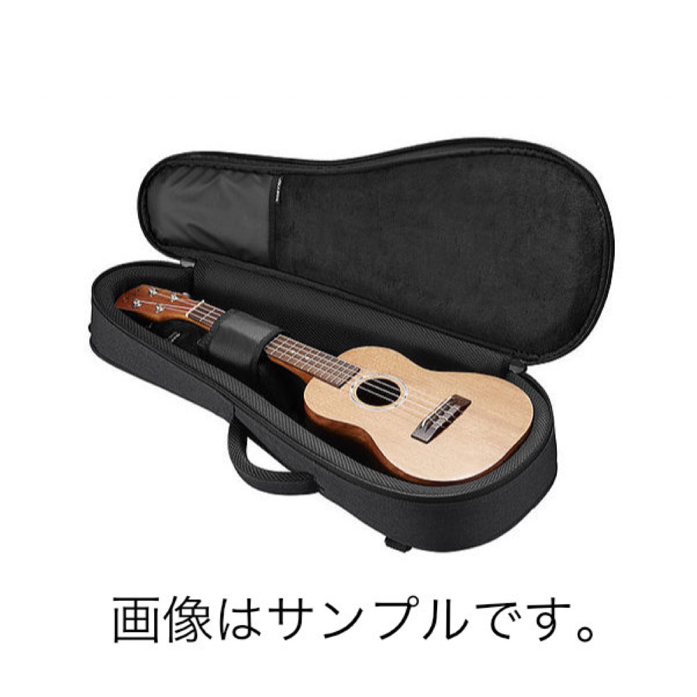 Basiner ACME-TU-NB Neo Black テナーウクレレ用ケース ケース内部画像