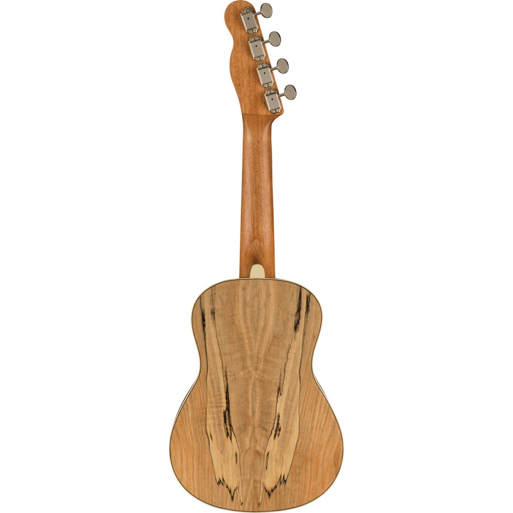 Fender Zuma Exotic Concert Ukulele SPALTED WN コンサートウクレレ 背面全体の画像
