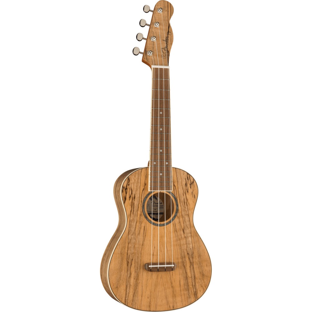 Fender Zuma Exotic Concert Ukulele SPALTED WN コンサートウクレレ 正面全体の画像