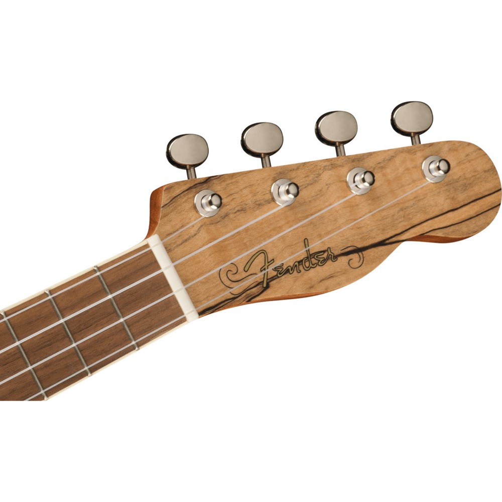 Fender Zuma Exotic Concert Ukulele SPALTED WN コンサートウクレレ ヘッドの画像