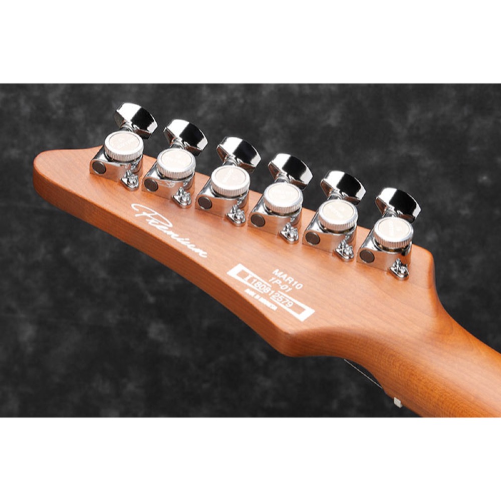 IBANEZ EH10-TGM エレキギター ペグ画像