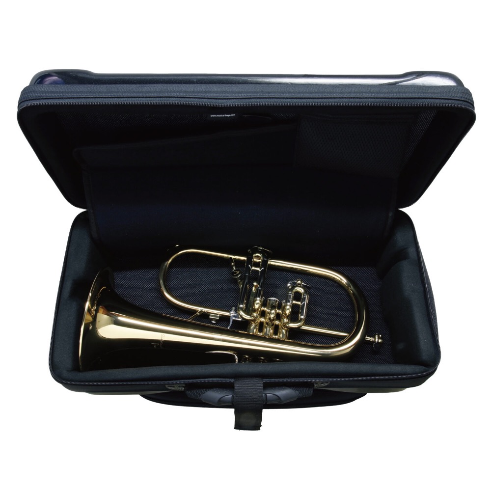bags EF2TRFH M-GOLD METALLIC COLOR トランペット&フリューゲルホルン用ファイバーケース 収納例
