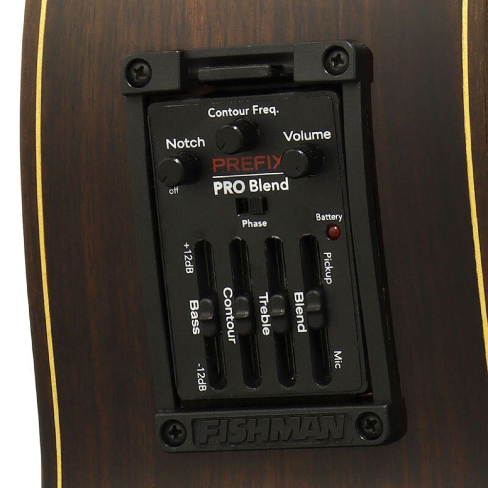 Esteve ELEC Spr エレクトリッククラシックギター エレガット 詳細画像