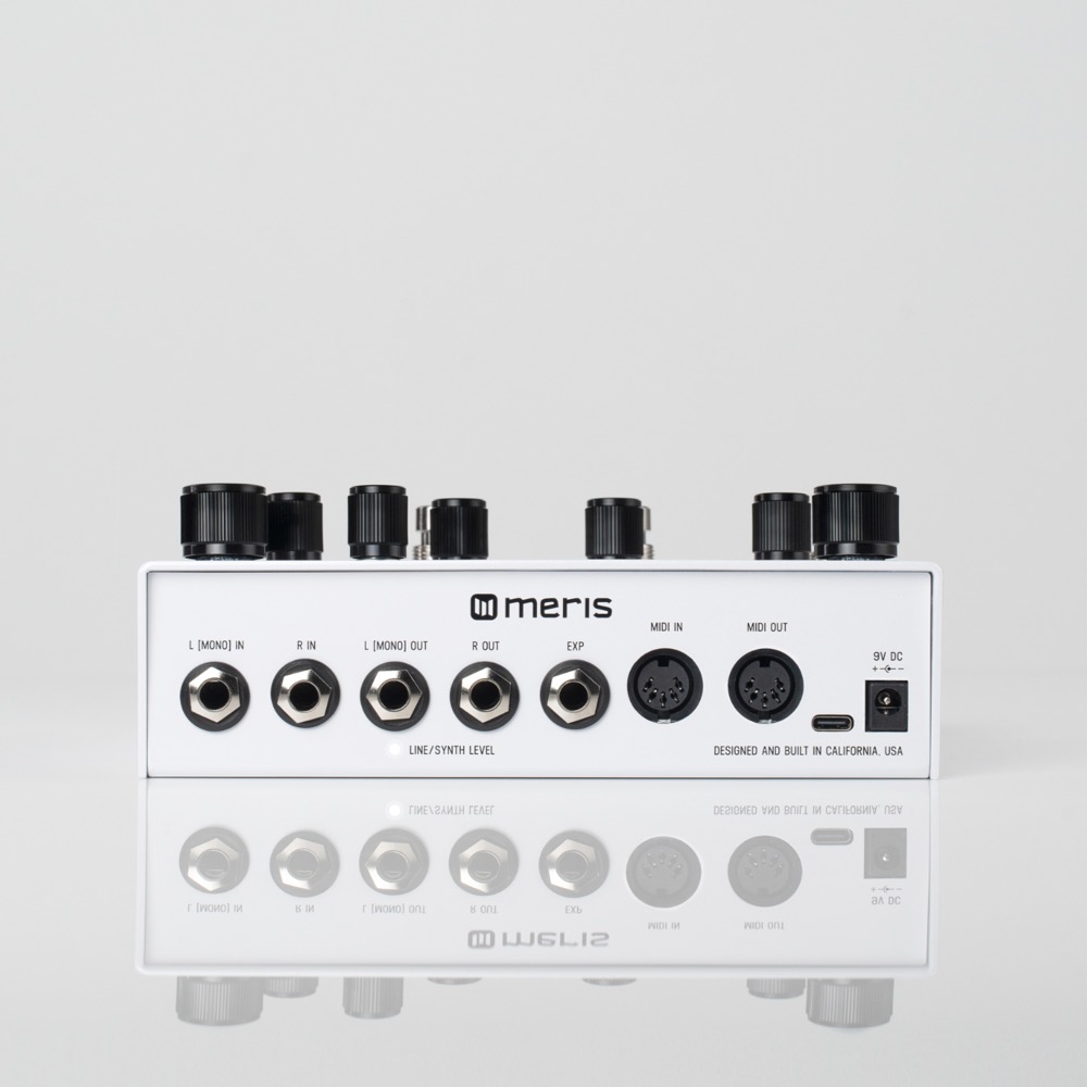 Meris LVX ディレイ ギターエフェクター 独自にカスタム可能なモジュレーションディレイ プラグイン画像