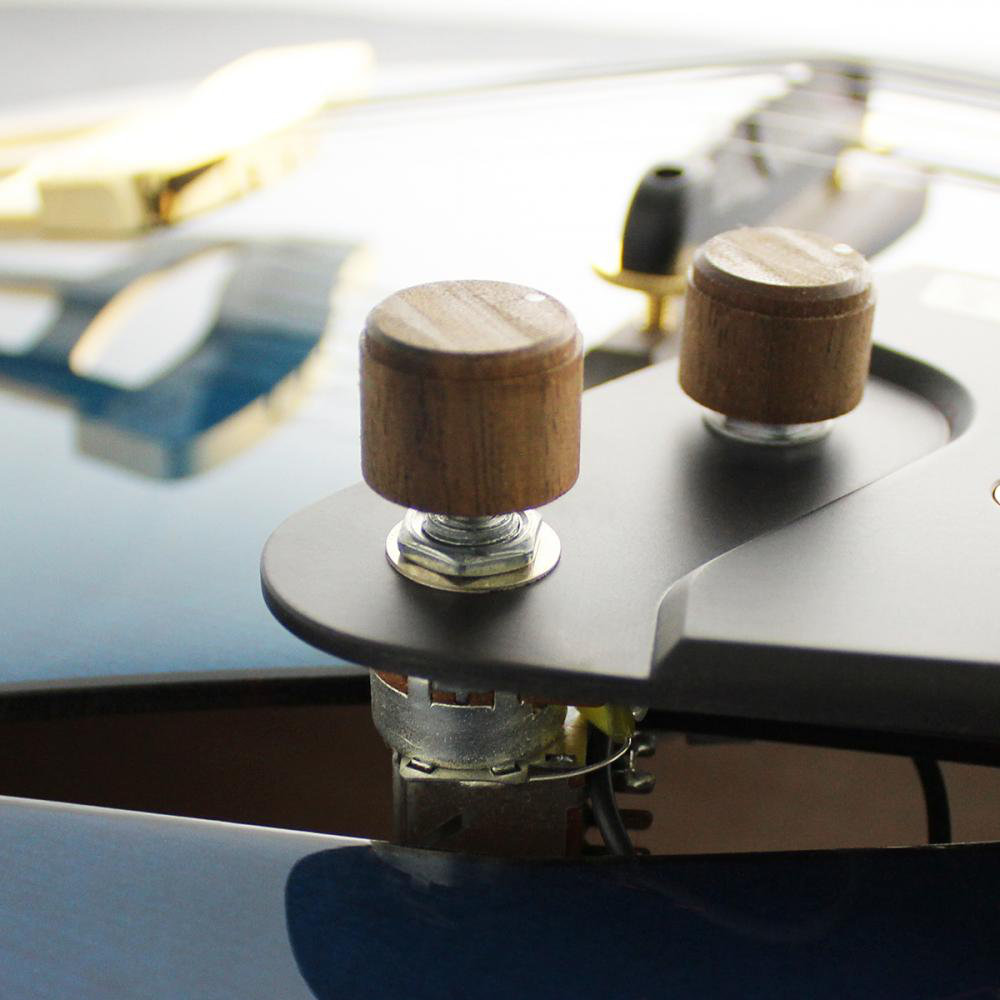 FUJIGEN MFA-FP/BBT Masterfield MFA フルアコギター MFA-FP/BBT コントロール部画像