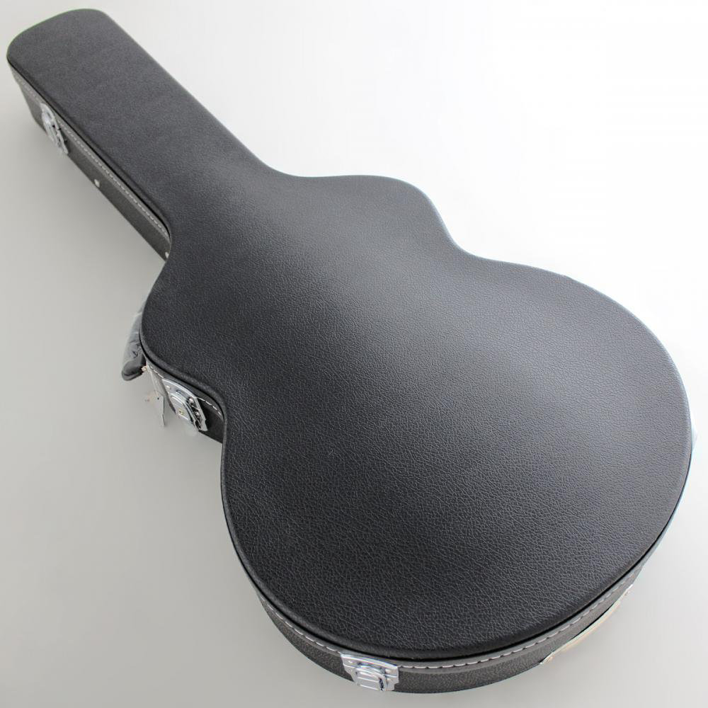 FUJIGEN MSA-HP/BBT Masterfield MSA セミアコギター MSA-HP/BBT 付属ケース画像
