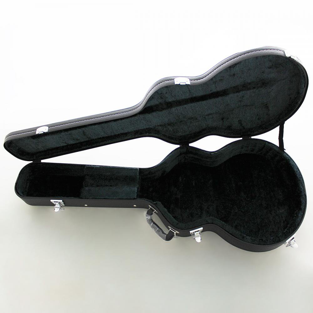 FUJIGEN MSA-HP/BBT Masterfield MSA セミアコギター MSA-HP/BBT 付属ケースオープン画像