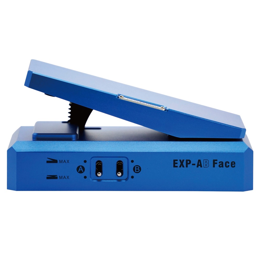 PAINT AUDIO EXP-AB Face エクスプレッションペダル エフェクター 詳細画像