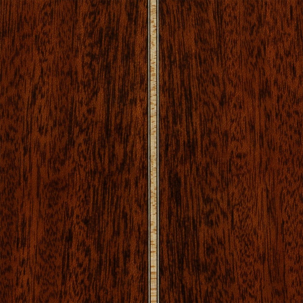 ZEMAITIS AAJ-1000HSD-E MAHO エレクトリックアコースティックギター バックストリップ画像