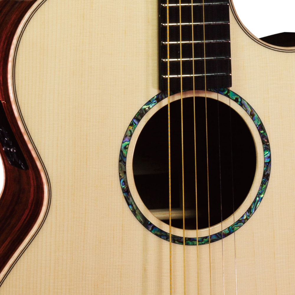 Faith FVHG3 エレクトリックアコースティックギター サウンドホール画像